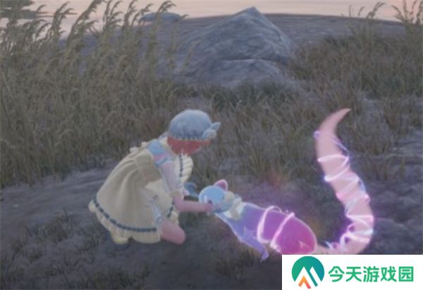 无限暖暖动物貂奇想星解谜攻略
