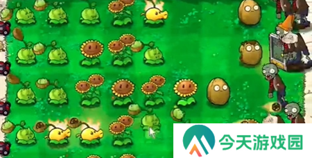 植物大战僵尸抽卡版1-7通关图文攻略