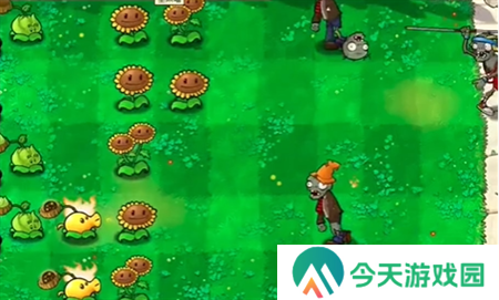 植物大战僵尸抽卡版1-7通关图文攻略