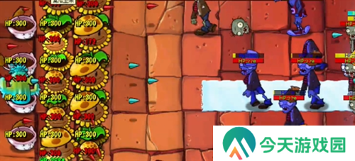 PVZ杂交版挑战模式第51关通关攻略