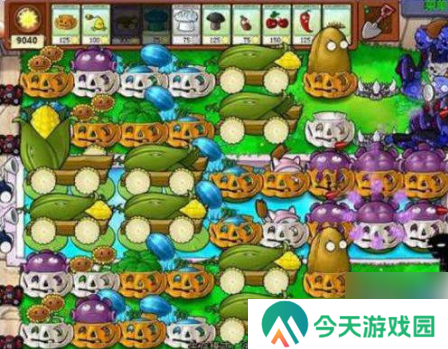 植物大战僵尸无尽版最佳布局