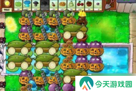 植物大战僵尸无尽版最佳布局