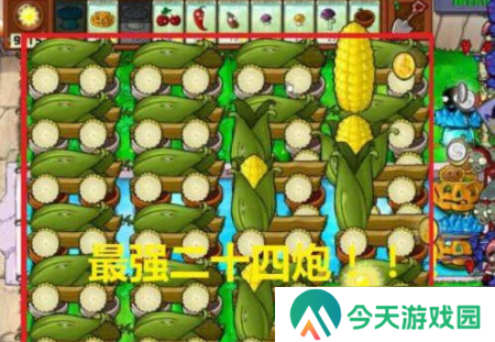 植物大战僵尸无尽版最佳布局