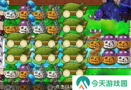 植物大战僵尸无尽版最佳布局