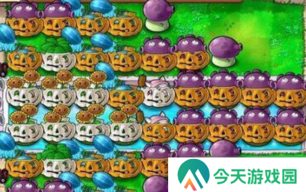 植物大战僵尸无尽版最佳布局