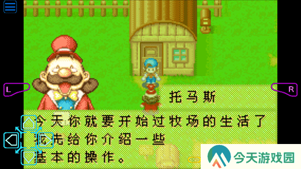 牧场物语矿石镇的伙伴们