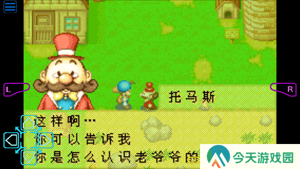 牧场物语矿石镇的伙伴们