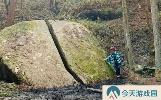 极乐软件园